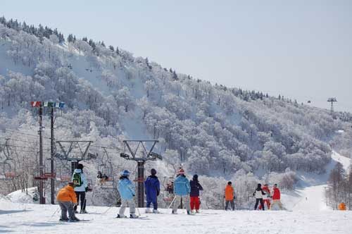  81専用 蔵王温泉スキー場　リスト券 81専用 山形市が蔵王温泉スキー場と連携し、リフト券4時間券が半額に