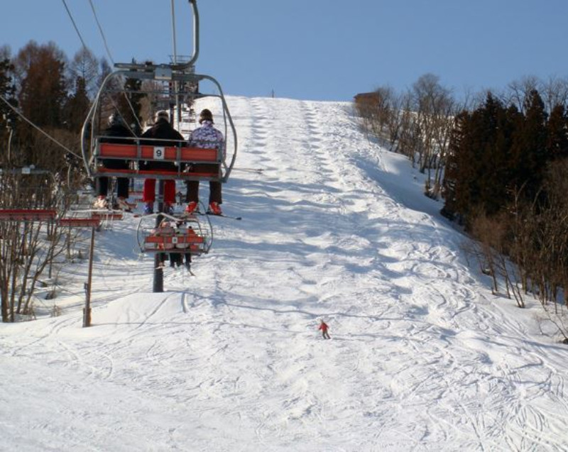 Slope with many beginner skiers