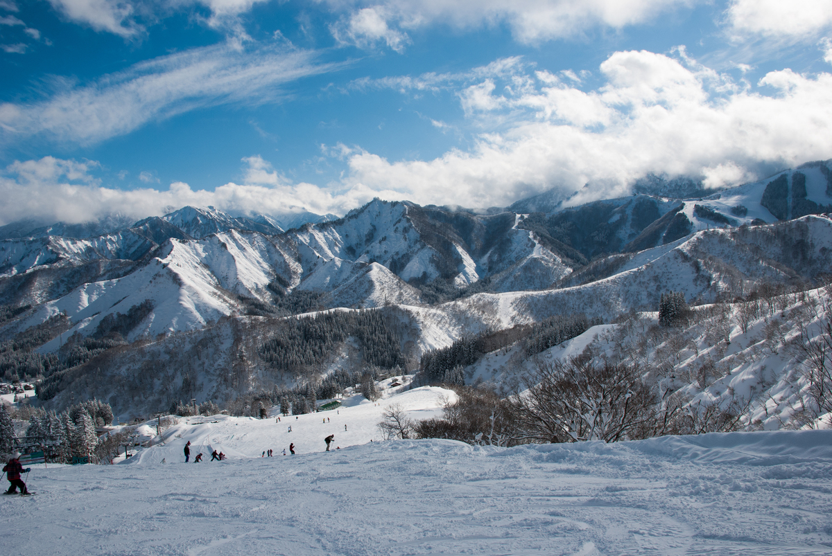 在滑雪場內所能看到的美景