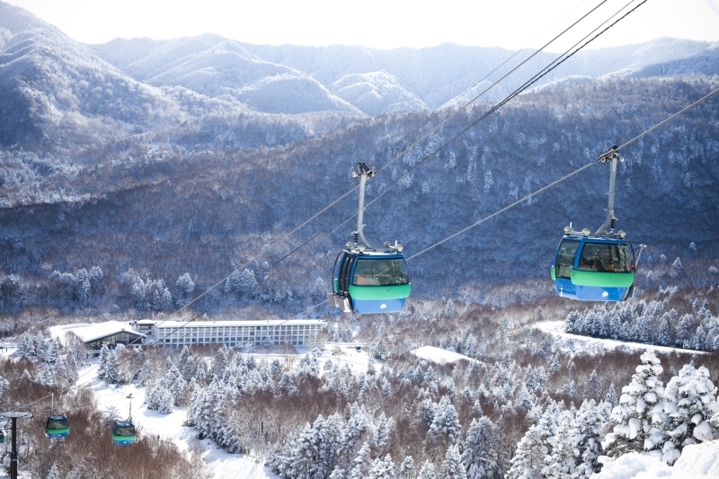 The gondola lifts