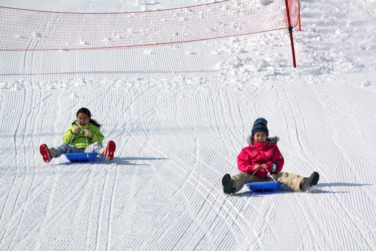 Skiers enjoying sledding