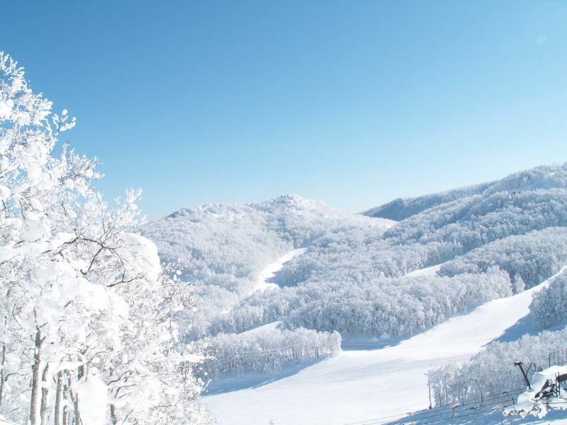 山形藏王的樹冰原