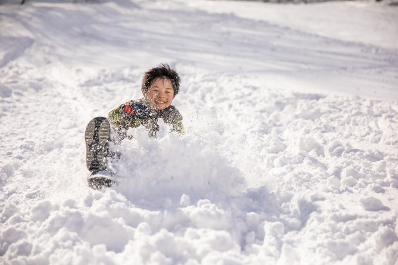 玩雪橇