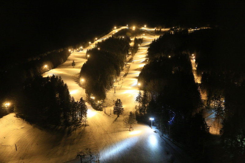 Snow frosted trees at night