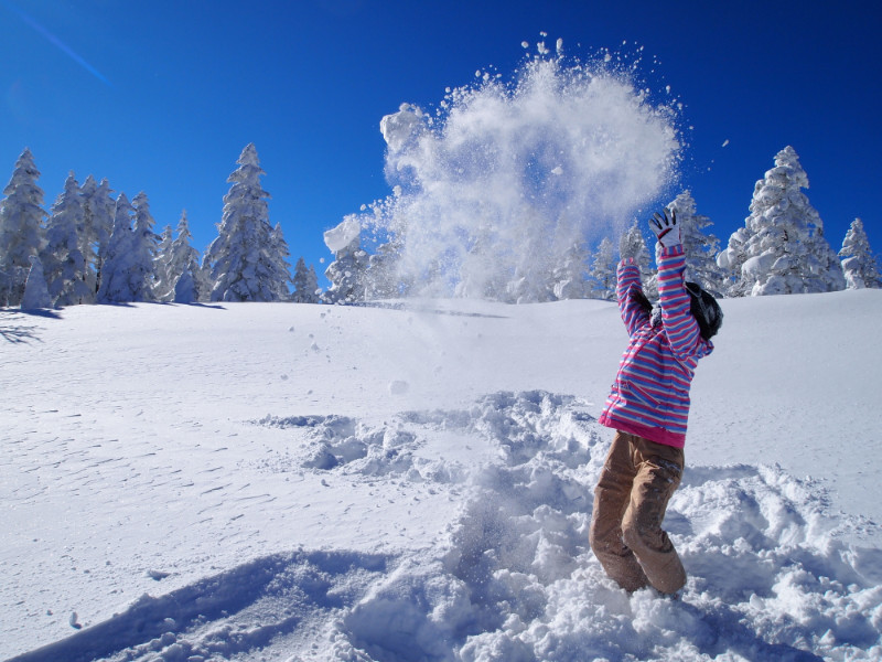 Skier enjoying powder snow