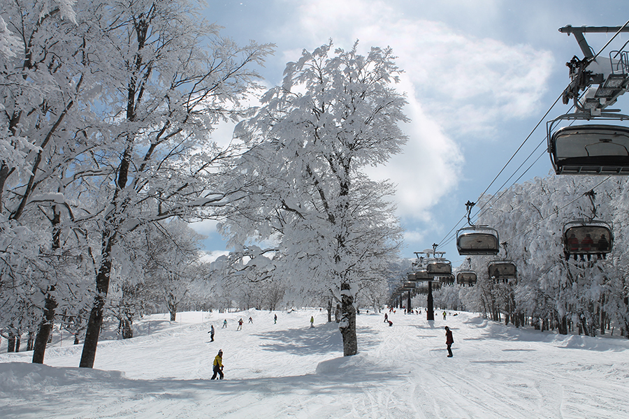 野澤高原滑雪場寬廣的滑雪道