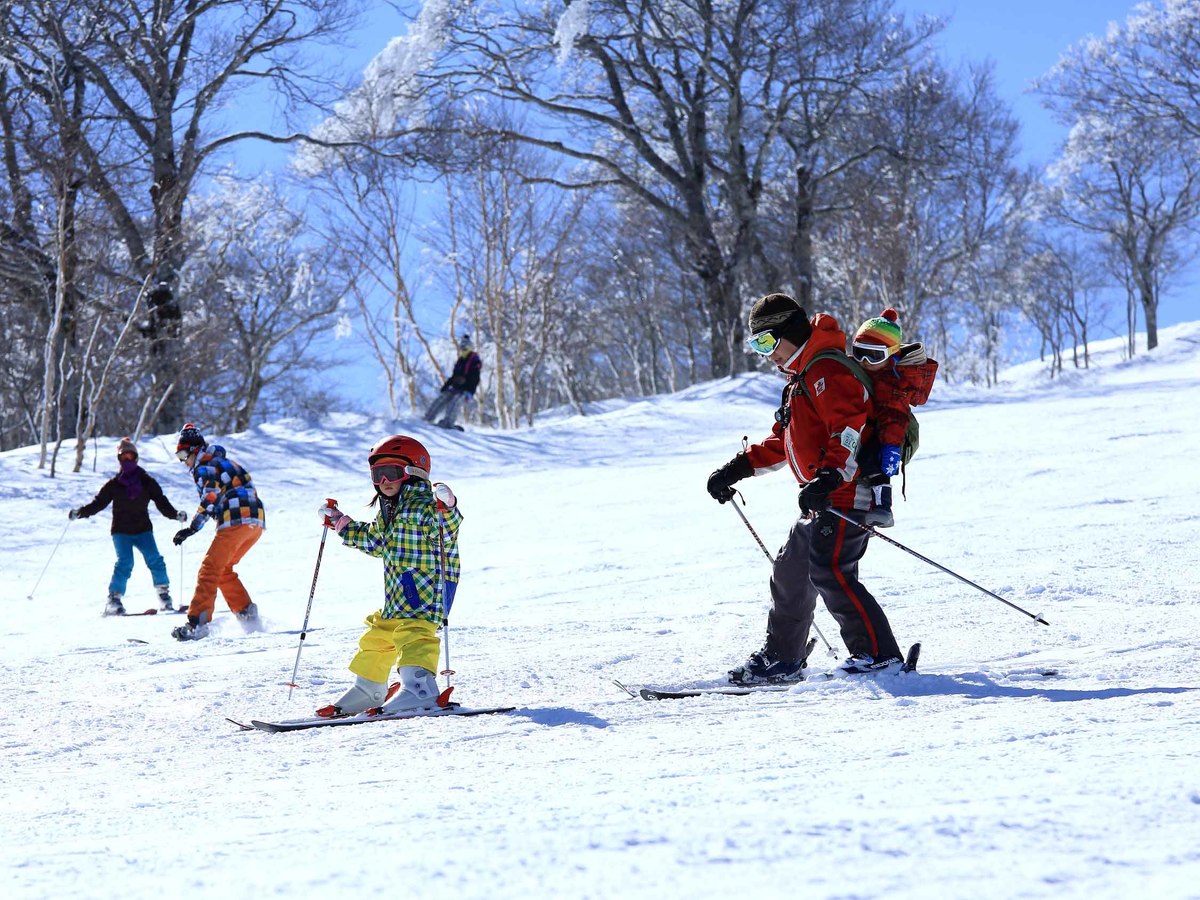 最高の雪質を楽しむスキーヤー