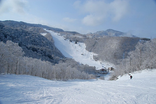 志賀高原滑雪度假村的豐富雪道